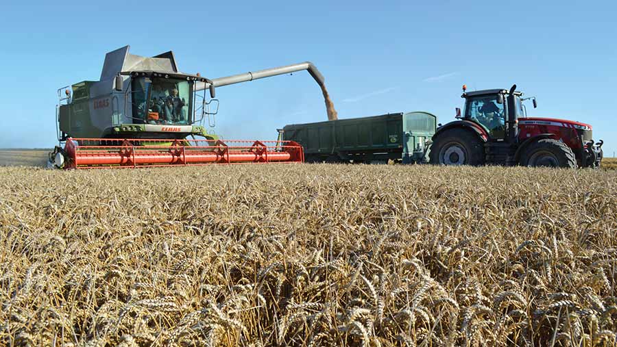 How to grow a winter wheat crop yielding 15t/ha