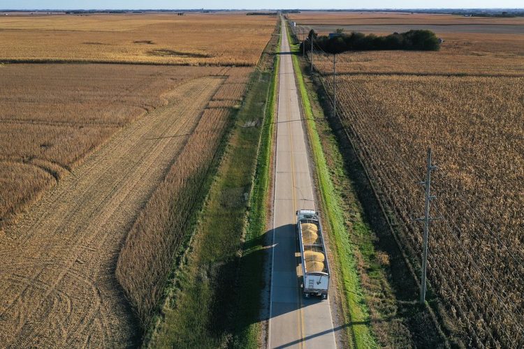EPA Bans Pesticide Linked to Child Health Risks