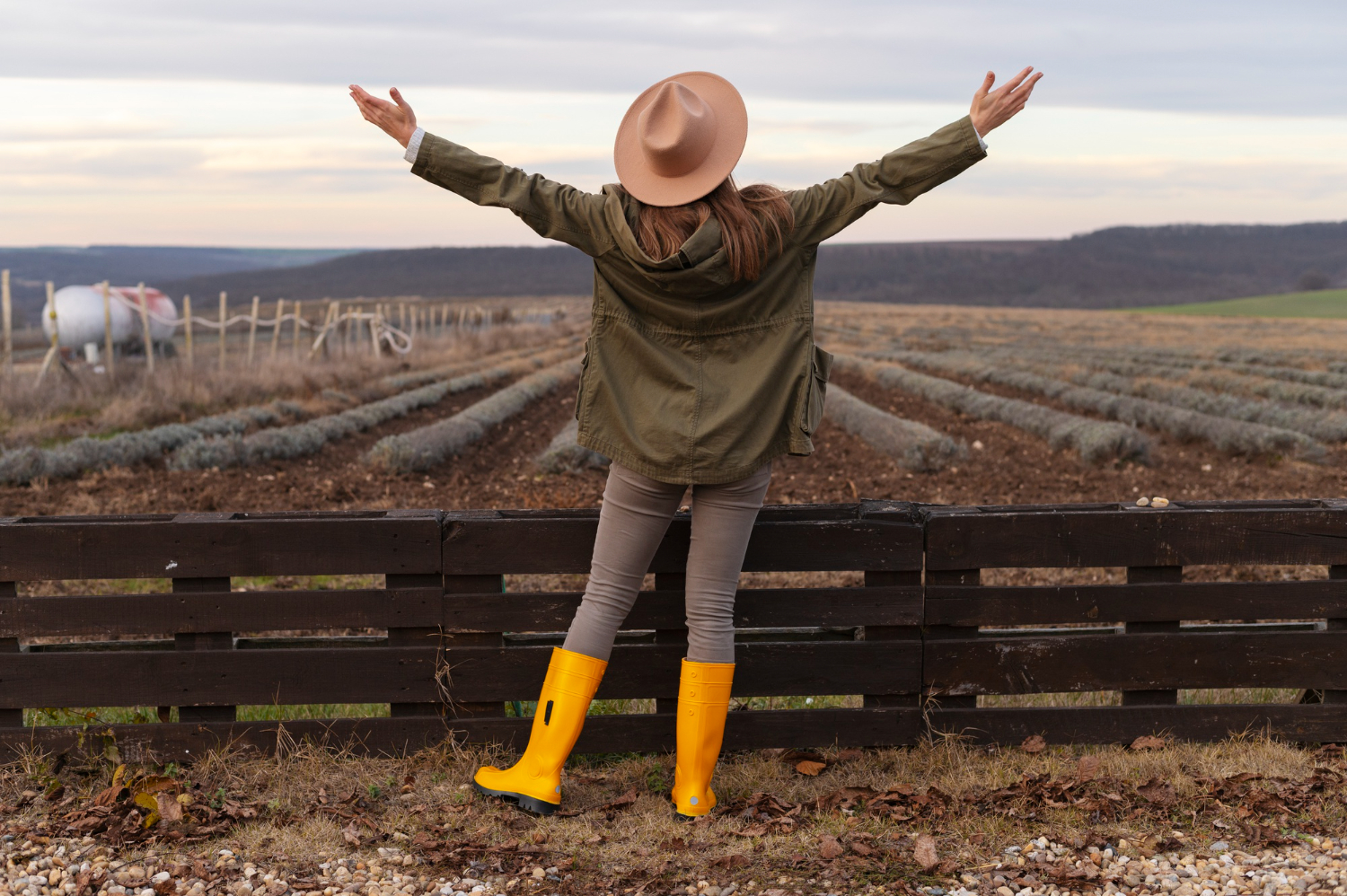Embarking on the Journey of Farming – A Comprehensive Guide