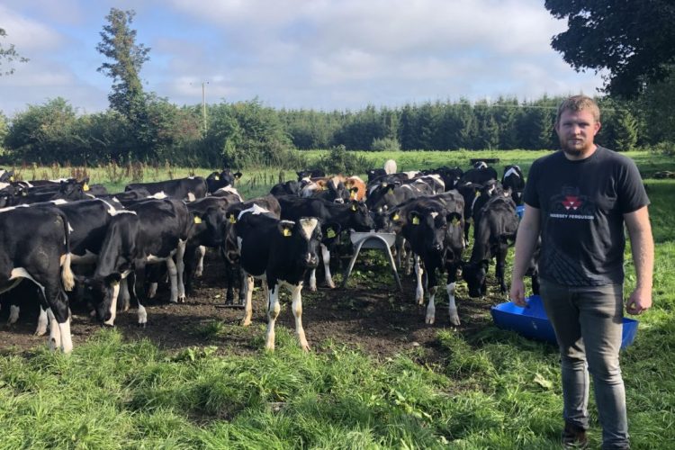 Phil’s Calf Rearing on a Livestock Farm