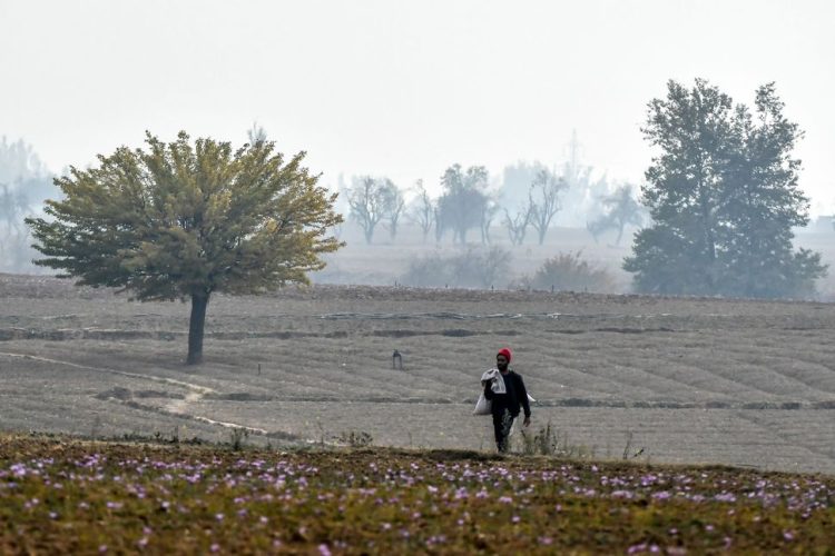 Farmers Face Climate Change Impacts