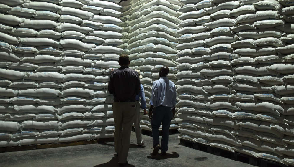 Walk The Talk After Food Systems Summit Scientists Urge