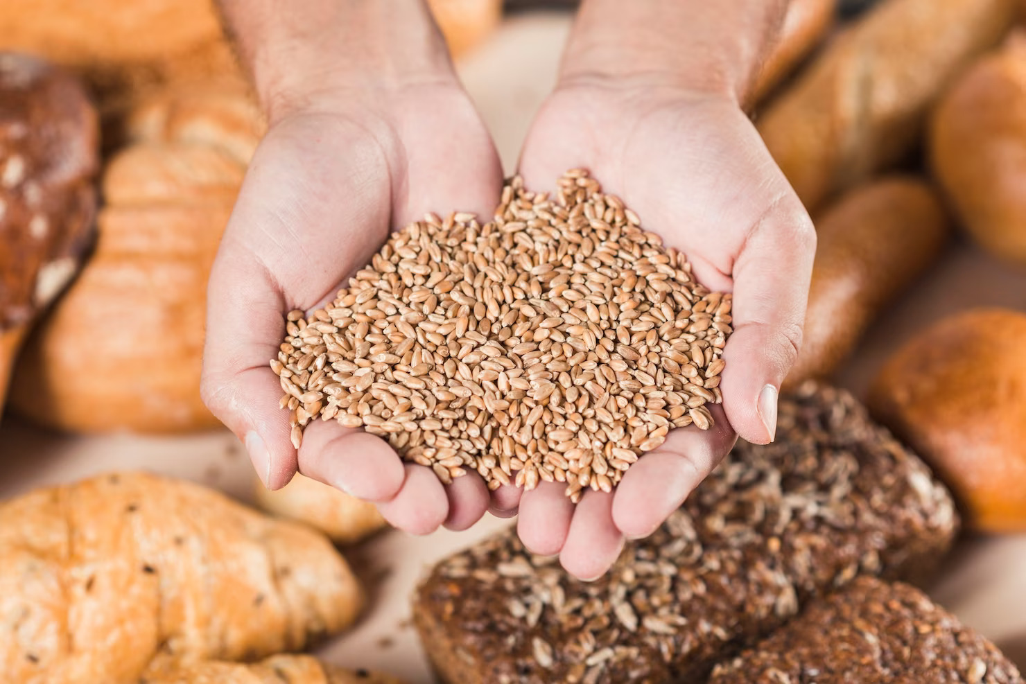 Grain Market Alert – Brace for Volatility!