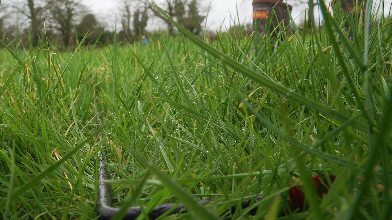 Is Your Autumn Grazing Plan on Track?