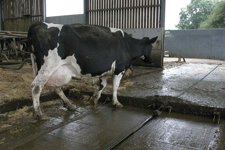 Buying & Retrofitting Slurry Scrapers