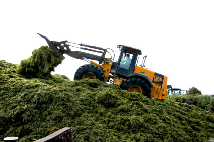 Winter Fodder Planning & Silage Needs