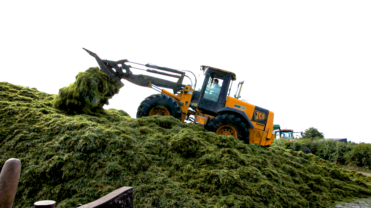 Fodder Planning: Have You Enough Silage For This Winter?