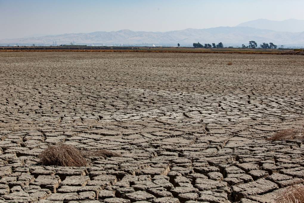 Water Officials Ring Alarm Bells as Californians Come up Short on Conservation Goals