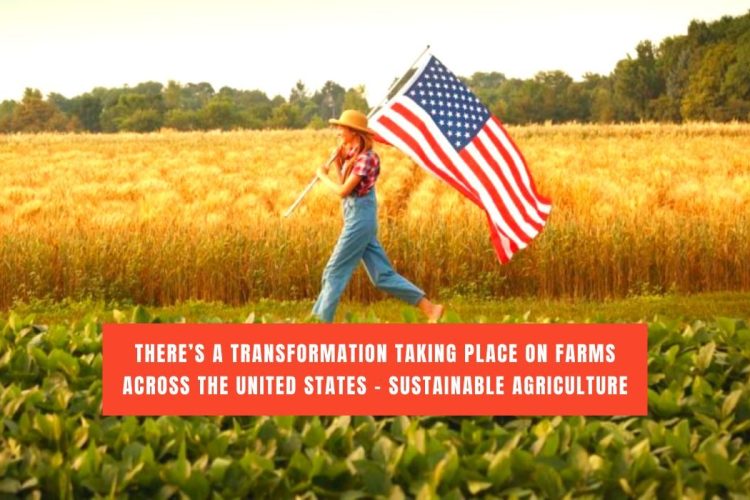 Restoring the Balance on American Farms