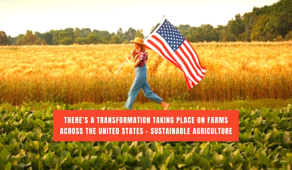 Restoring the Balance on American Farms