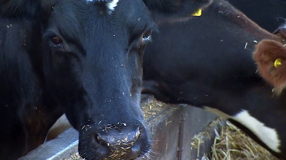 Vet Unfairly Dismissed by Department of Agriculture