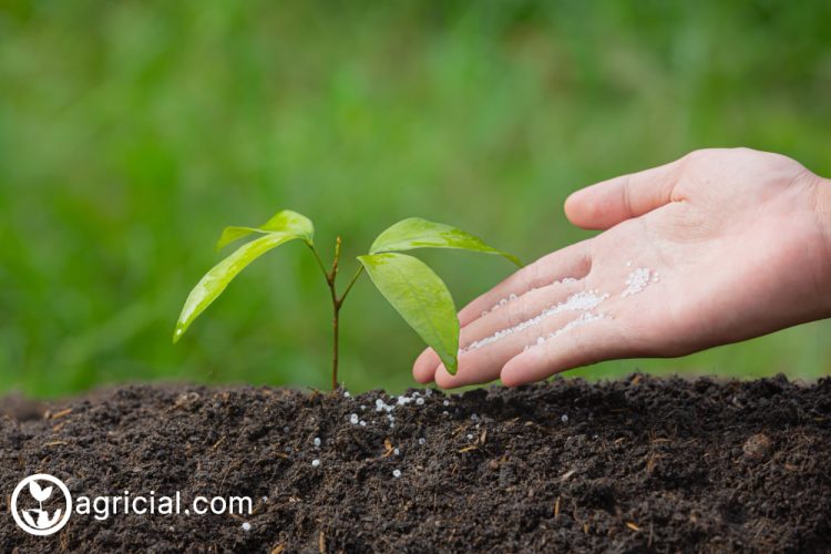 Exploring the Significance of Fertilizer Additives in Advancing Agricultural Sustainability