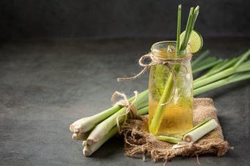How to Grow Lemongrass Indoors