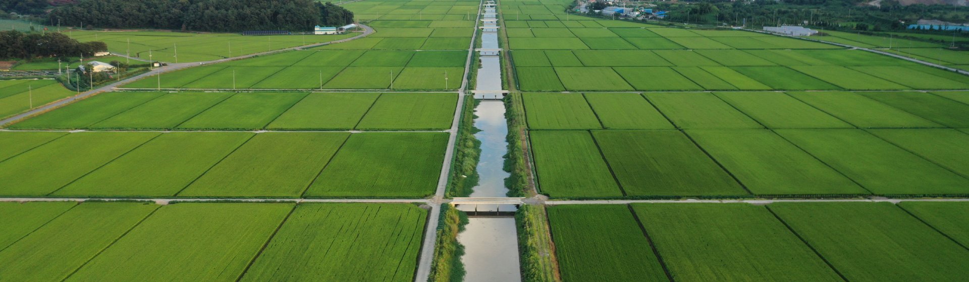 Exploring the Significance of Fertilizer Additives in Advancing Agricultural Sustainability