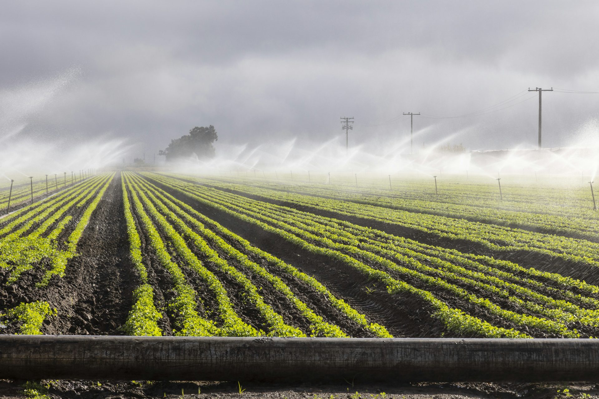Hydroponic Farming vs Traditional Farming: Key Differences, Benefits, and Sustainability Comparison - Agriculture Guides