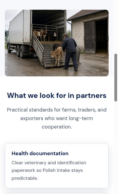 Calves Sourcing – Foreign Suppliers for Poland