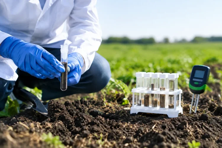 Guide to Soil Testing Methods for Better Crops